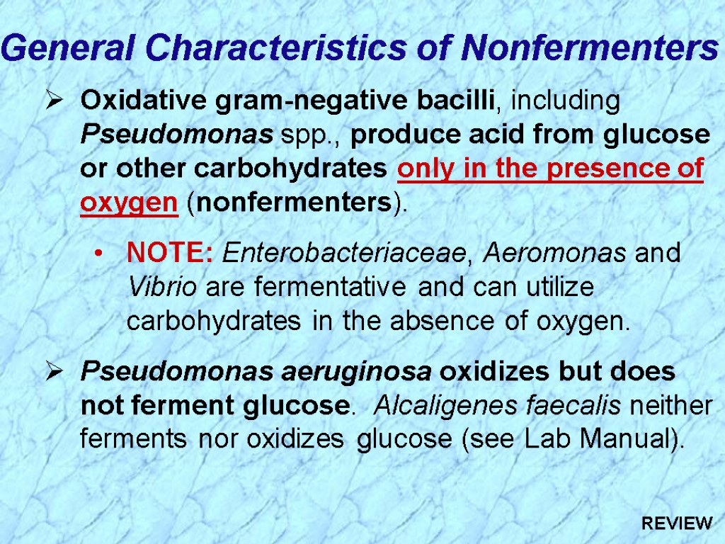 General Characteristics of Nonfermenters Oxidative gram-negative bacilli, including Pseudomonas spp., produce acid from glucose